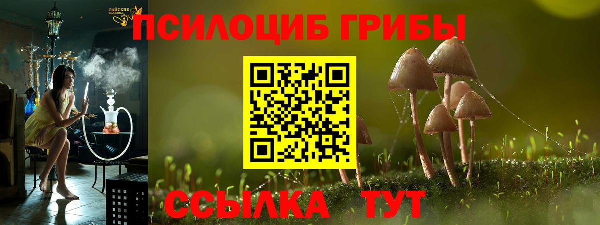 Галлюциногенные грибы Psilocybe Ростов-на-Дону