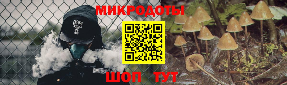 Ростов-на-Дону  цены   Вход с VPN  Галлюциногенные грибы Psilocybe 